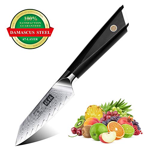 SHAN ZU Damastmesser Schälmesser Obstmesser scharf 9,3 cm Gemüsemesser Küchenmesser, AUS-10 Japanischem Damaststahl 67-Schicht Damaszener Stahl Twill Muster Fruchtmesser mit G10 Griff - GYO Series