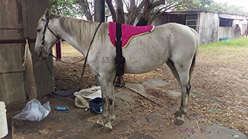 Rutschfestes Reitkissen mit Gurt und Steigbügel, rose