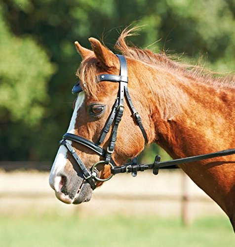 Busse Trense Mini-SHETTY II, MSH, schwarz/Stern