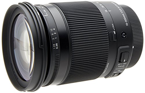 Sigma DC Makro OS HSM 18-300mm F3,5-6,3 Objektiv (72mm Filtergewinde) für Canon Objektivbajonett schwarz