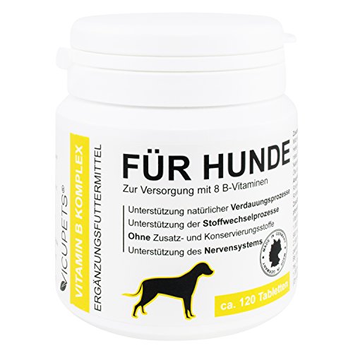 VICUPETS Vitamin B Komplex für Hunde | 8 B-Vitamine und Mineralstoffe | für alte (senior) Hunde und junge (junior) Welpen | Made in Germany | 120 Stück