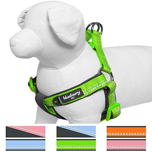 Blueberry Pet Step-in' Geschirre Neu 3M Reflektierend 40-50cm Brust Sommer Pastell Baby-Grün Verstellbares Zugentlastendes Gepolstertes Hundegeschirr, Passendes Halsband Separat Erhältlich