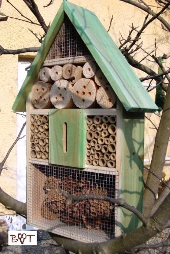 Insektenhotel, KOMPLETT mit Schmetterlingshaus XXL moosgrün grün für Nützlinge Biogarten Nistkasten Schmetterling Insektenhäuschen - biologischer ökologischer natürlicher Pflanzenschutz - ökologische biologische natürliche Blattlausbekämpfung - Insektenhaus zum Hängen und Aufstellen - Tolle Farbwahl – Marienkäferhaus Marienkäfer Marienkäferkasten Schmetterlingshaus Schmetterlinge Gartendeko