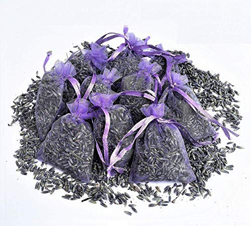 12x Lavendelsäckchen Bester frischer Lavendel - Insgesamt 120g Lavendelblüten Goût de Paris Duftsäckchen für Lavendelduft für Wäsche, Motten,Entspannung & Einschlafen