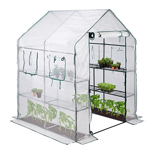 Relaxdays begehbares Gewächshaus, 4 Fenster, 2 Regale, Treibhaus-Folie, Tomatenhaus 2m², HBT 190x140x140 cm, Transparent