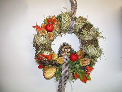 Small-Preis Türkranz Kranz Herbstkranz rund mit Igel sitzend ø 28 cm - Herbst - Willkommensgruß - 412