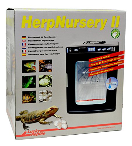 Lucky Reptile HN-2 Herp Nursery II, Inkubator, Reptilien Brutapparat