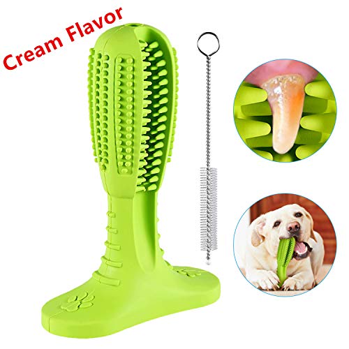 Hunde Zahnbürste Creme-Geschmack Hundezahnbürste neue verbesserte 2019 Version Medium Kaustick aus Naturkautschuk Hund Kauen Zahnreiniger Welpen Zahnreinigung (für 10-23 Kg Hunde)