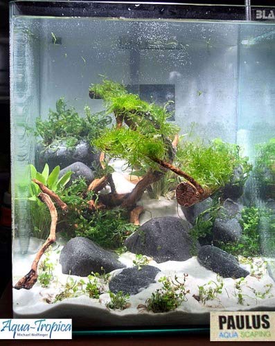 Blau Aquaristic - Nano-Aquarium Cubic 10 Liter - Basis Glas Aquarium