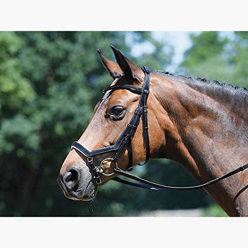 Busse Trense Feeling schwarz (weiß)/Strass-Silber Vollblut