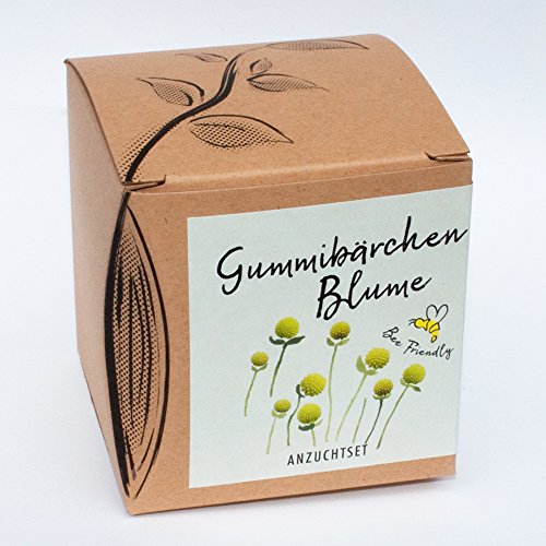 Geschenk-Anzuchtset Gummibärchenblume