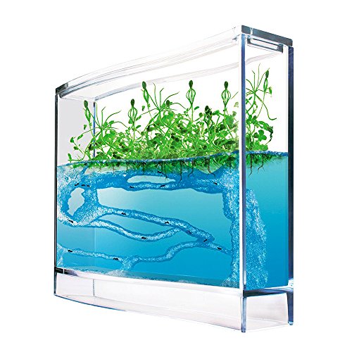 Monsterzeug Gel Ökosystem für Ameisenfarm, Terrarium, Antquarium, Super Forest Ant