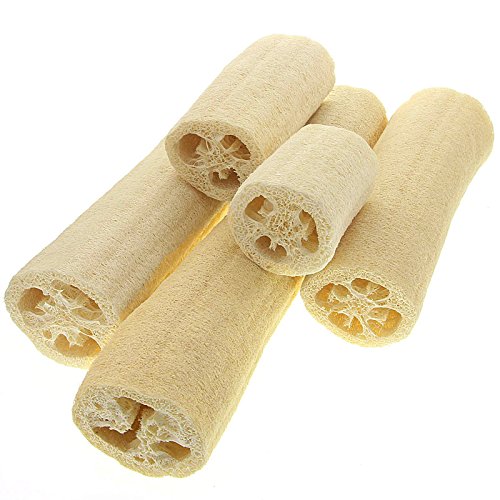 Luffa Gurke Schwamm, Kosmetex Luffagurke Luffaschwamm, der Naturfaser Schwamm, 19 cm