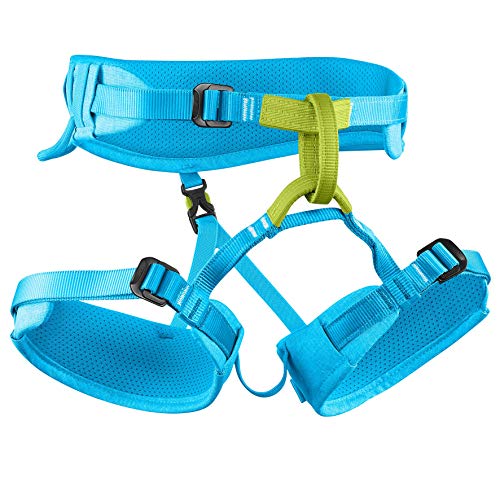 EDELRID Finn III Klettergurt für Kinder, Farbe:icemint, Größe:Gr. XS