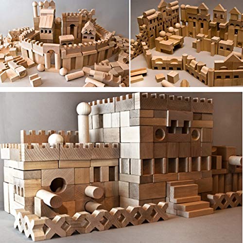 Dabo 220 Stück XL Holzbausteine Buchenholz Bauklötze Holzklötze Holzspielzeug Natur DUMA-Welt NEU