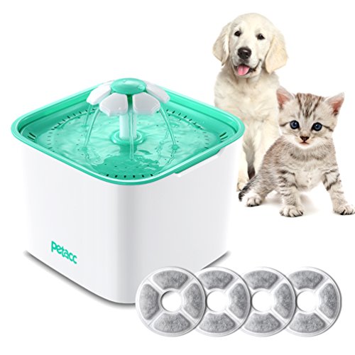 Petacc Katzen Trinkbrunnen,4 Filterelemente Haustier Wasserspender Trinkbrunnen Hund Automatisch Blumentrinkbrunnen Trinkbrunnen Für Katzen und Hunde 2L Ultra Leise Weiß Grün (Weißgrün)