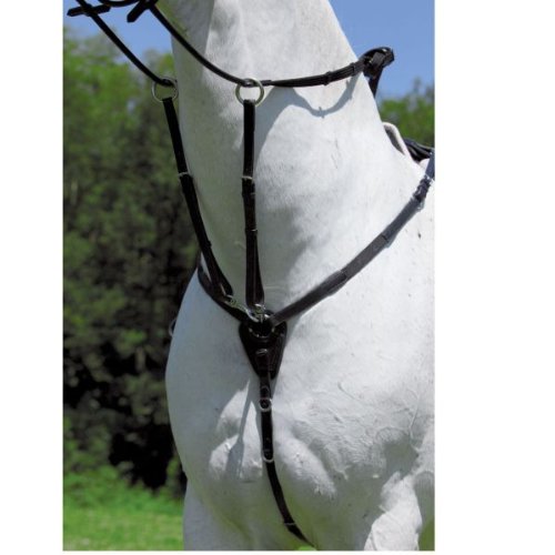 WALDHAUSEN STAR Vorderzeug, schwarz, WB, schwarz, Warmblut