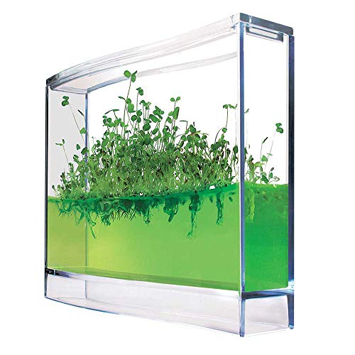 Monsterzeug Mini Plantarium für Kräuter, Gel Gewächshaus mit Saatgut, Gewürze selber Pflanzen, Petersilie, Rucola, Thymian, kleines Ökosystem, Pflanzen in Gel, Winziger Garten, Natur Experiment