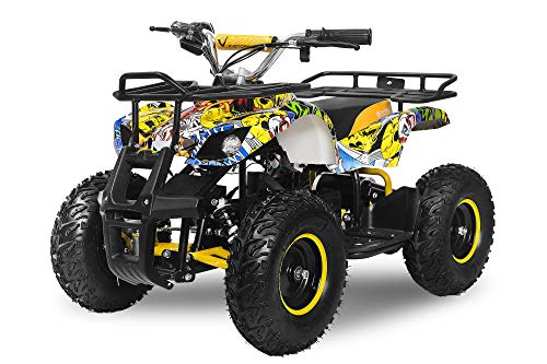 Elektro Kinderquad Torino 1000W 48V 6' Miniquad Quad ATV Bike (Gelb-Blau)