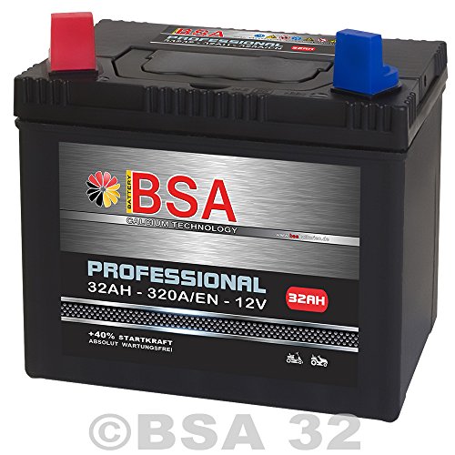 Rasentraktor Aufsitzmäher Batterie 32Ah 12V Starterbatterie absolut WARTUNGSFREI Plus Pol links 30Ah