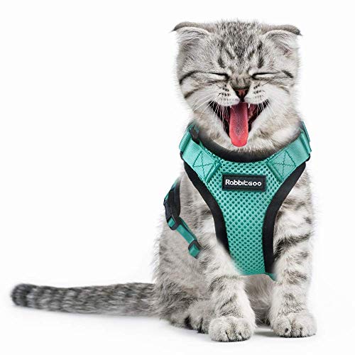 rabbitgoo Katzengeschirr Ausbruchsicher Geschirr Katze Kleine Verstellbar Katzengarnitur Welpengeschirr Geschirr für Katzen Kitten kleine Hunde Chihuahua Cat Harness Grün XXS