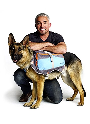 Cesar Millan Dog Backpack - Hunderucksack des Hundeflüsterers Cesar Millan