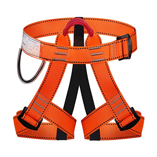 ENJOHOS Absturzsicherung Sicherheitsgurt Taille Klettergurt CE Zertifiziert für Bergsteigen Sportklettern Baumklettern Feuerwehr Outdoor