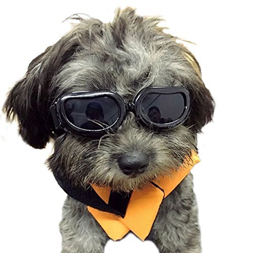 Kailian & reg; Dog Goggles Stilvolle wasserdichte Anti-UV-Sonnenbrillen für Hündchen Welpen-Schwarz
