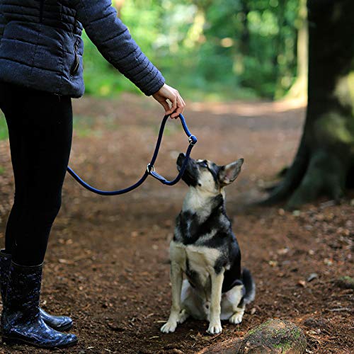 dibea Hundeleine, Führleine, Zugleine, Länge 120 cm, Farbe dunkelblau, 1er Pack (1 x 200 Grams)