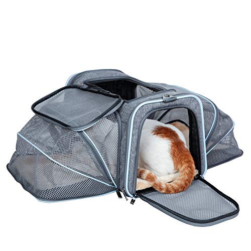 ABISTAB Hundebox faltbar Transportbox Hunde und Katze Transporttasche für Auto- und Flugreisen geeignet Tragetasche Maxi 72cm zweiseitig ausklappbar:3-Grau-Himmelblau
