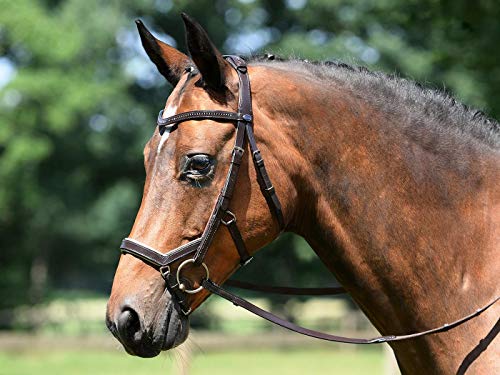 Busse Trense Feeling schwarz/schwarz