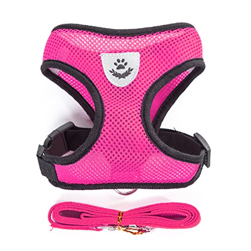 Air Mesh Hundegeschirr Atmungsaktiv Welpengeschirr für Klein Hunde Vest Harness Brustgeschirre Haustier Softgeschirr mit 1,1M Hundeleine Führleine Schleppleine (S, rosa)