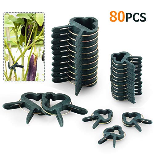 FORMIZON 80 Stück Pflanzenclips Stabile Clips Pflanzenklammern für Pflanzen Sicherung Unterstützt Einzupflanzen Rosenbögen Rankhilfen (40 große + 40 kleine)