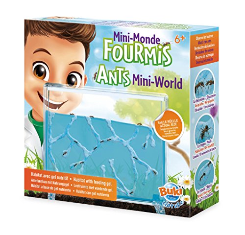 BUKI France FS4206 - Mini-Welt der Ameisen