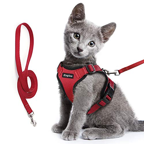 Eagloo Katzengeschirr Set mit Leine, Katzenleine mit Geschirr für Katzen Kitten Katzengarnitur Kleine Katze Cat Harness Soft Ausbruchsicher Kaninchengarnitur Verstellbar Katzenweste Rot XS