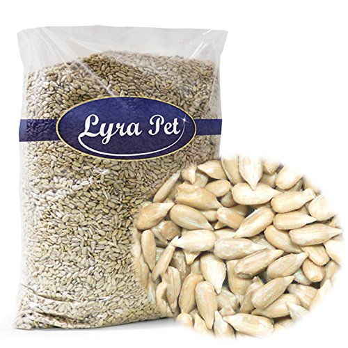 25 kg Sonnenblumenkerne geschält Wildvogelfutter Vogelfutter Lyra Pet