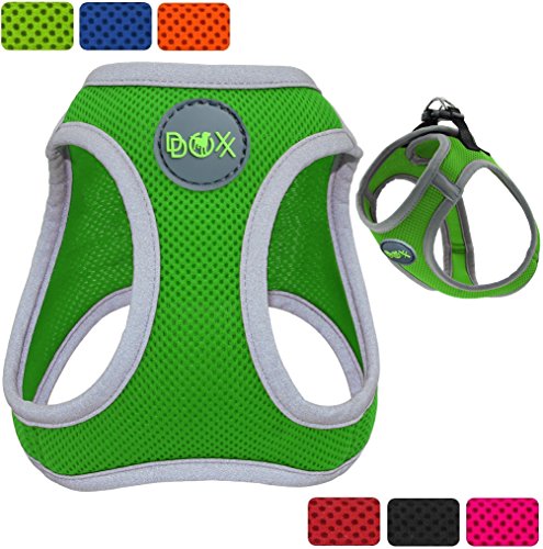 DDOXX Hundegeschirr reflektierend aus Air Mesh | für große, mittelgroße, mittlere & kleine Hunde | Hunde-Geschirr | Brustgeschirr | Softgeschirr | Step-In | Grün, Größe A (XS