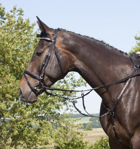 United Sportproducts Germany USG  14100003-402 Elastisches Vorderzeug mit Martingal, Warmblut, Sattelbefestigung m. Karabinern, silberfarbene Beschlge