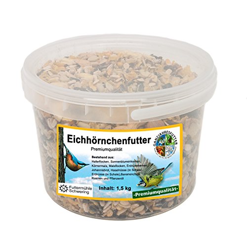 Eichhörnchen Nahrung, 1,5 kg Eimer
