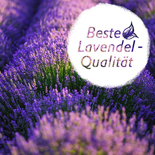 LAVODIA 12x Lavendelsäckchen Lavendelblüten (Bio Lavendel getrocknet), Mottenschutz für Kleiderschrank oder Lavendelduft zum Entspannen, 12x10g Säckchen
