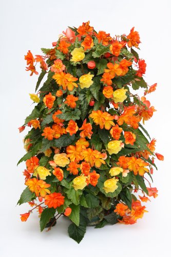 Flower Tower, Blumenturm, Pflanzenturm, Blumensäule 85 cm hoch