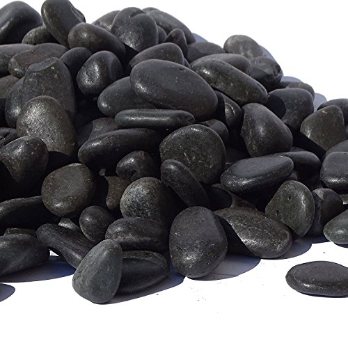 MGS SHOP Zierkies Nero schwarz matt glänzend Feng-Shui Kies Warenprobe (10-20 mm 950g)