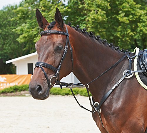 Busse Vorderzeug SOLIBEL, Vollblut/Warmblut, schwarz/Edelstahl