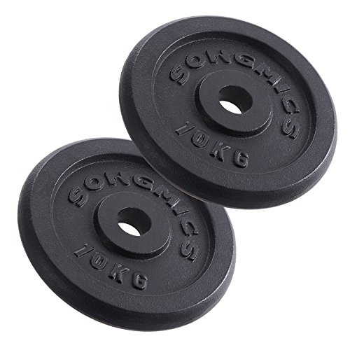 SONGMICS Hantelscheiben Gewichte Set aus Gusseisen 31 mm Bohrung 2 x 10,0 kg SYL03T