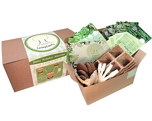 Kräuter Anzuchtset, 4 Sorten Bio Kräuter Saatgut – Kräuter Pflanzset mit Bio Samen, Geschenk Set zu jedem Anlass- perfektes Gechenk Set, verpackt als Geschenk Box, ideales Ostergeschenk