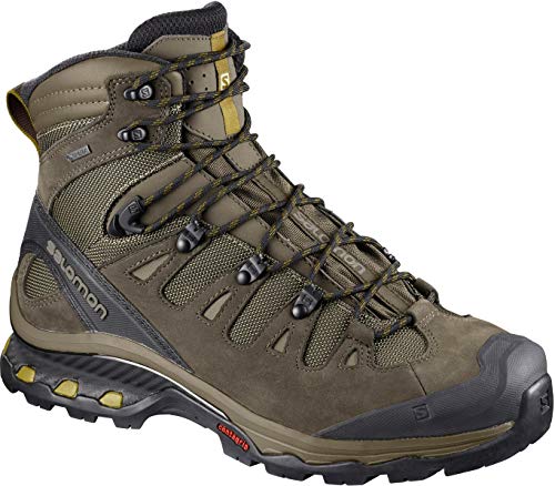 SALOMON Herren Quest 4d 3 GTX Trekking- & Wanderstiefel, Grau (Wren/Bungee Cord/Green Sulphur 000), 42 2/3 EU