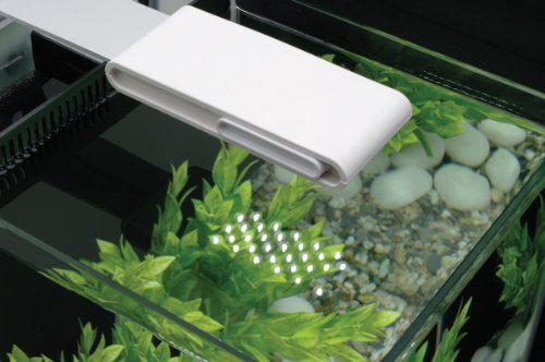 Fluval SPEC 3 Nanoaquarium mit 10l Fassungsvermögen, weiß