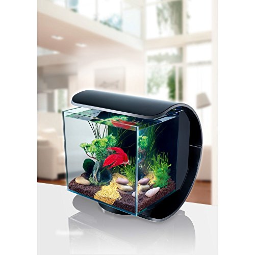 Tetra Silhouette LED-Aquarium, für Aquaristik, 12 l
