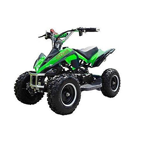 49ccm Quad Miniquad Kinder ATV 6 Zoll 2 Takt Pocketquad Kinderquad Grün RV-Racing 49cc