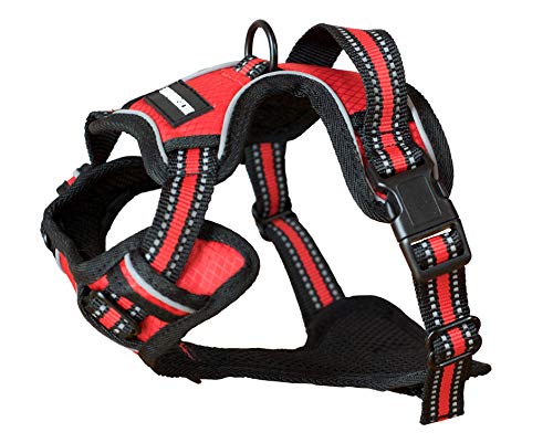 Luchs und Hase Hundegeschirr (S, Rot)